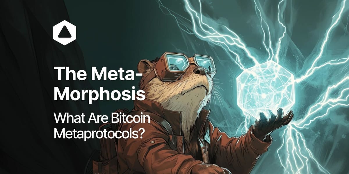 The Meta-Morphosis: What Are Bitcoin Metaprotocols?