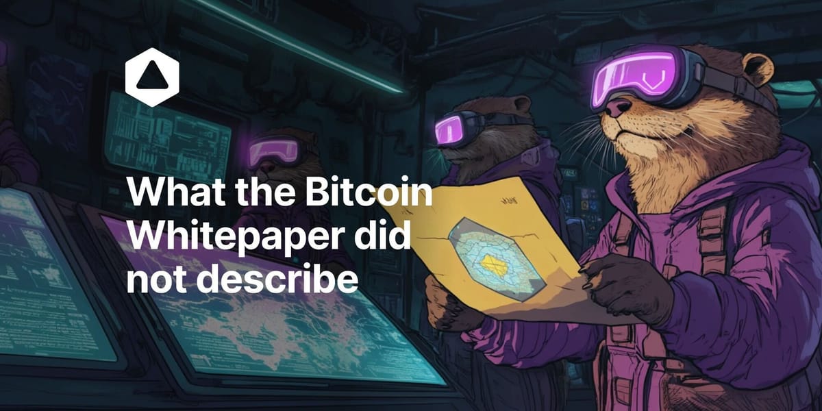 What the Bitcoin Whitepaper did not describe