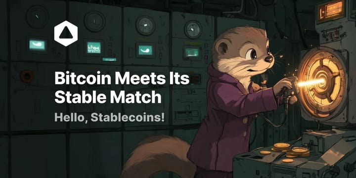 Bitcoin Meets Its Stable Match: Hello, Stablecoins!